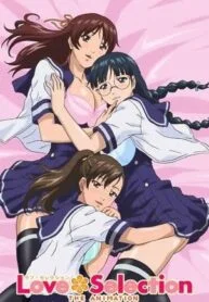 Love Selection The Animation Subtitle Indonesia – Seorang Pria Ngentot Dengan Gadis Yang Dicintainya